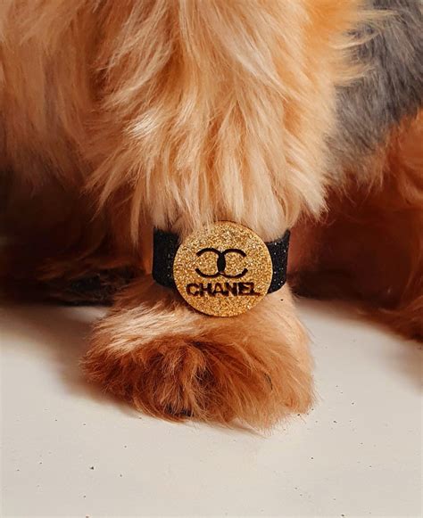 is chanel animal friendly.